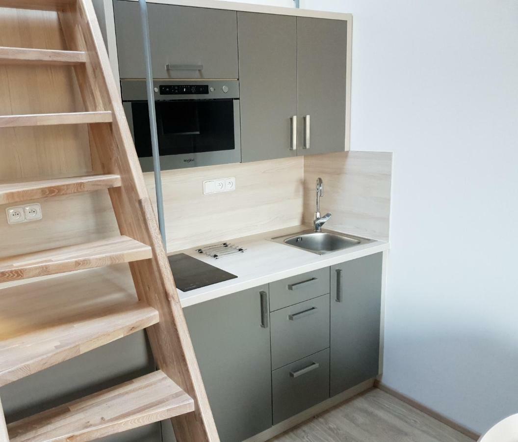Apartman Pod Medvedi Horou Лоучна-над-Десноу Экстерьер фото